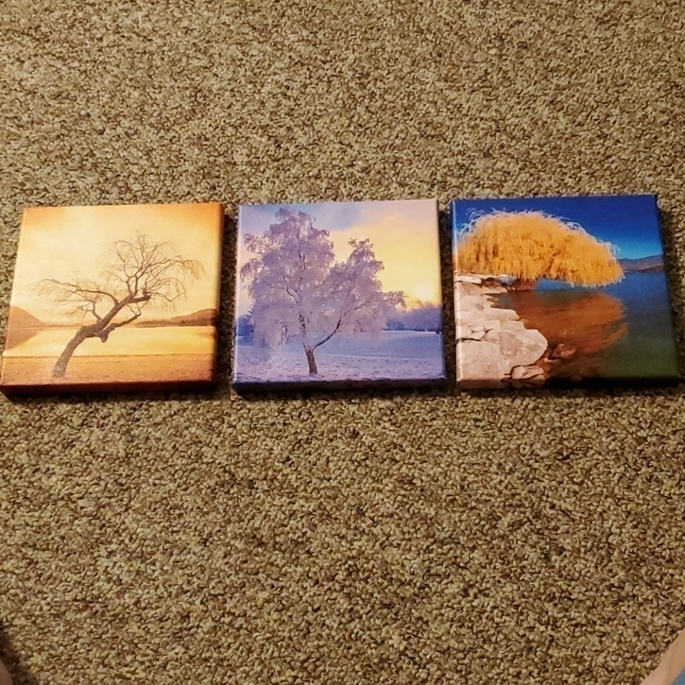 Tree Stretched Wrapped Canvas Prints Set Of 3